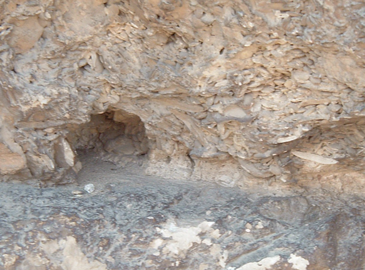 ギザ台地の発掘現場の地層。所々、貝殻のようなものが見える。